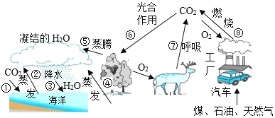 扬州:可爱的家乡，美丽的城市——世界美食之都的化学密码